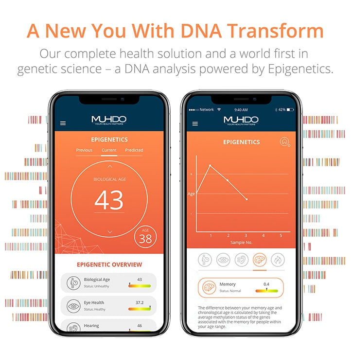 Muhdo DNA + Epigenetics Genetic Collection Kit