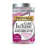 Twinings Cold In’Fuse And Breathe with Magnesium 12 Infusers GOODS Holland&Barrett   