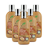 Dr Organic Moroccan Argan Oil Conditioner Bundle 6 x 265ml Conditioner Holland&Barrett   