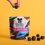 Squirrel Sisters Cacao Brownie Raw Brownie Bites 80g GOODS Holland&Barrett   