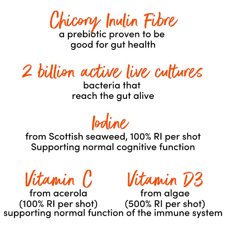 No.1 Living Gut & Immune Kombucha Health Shot 60ml Drinks Holland&Barrett   