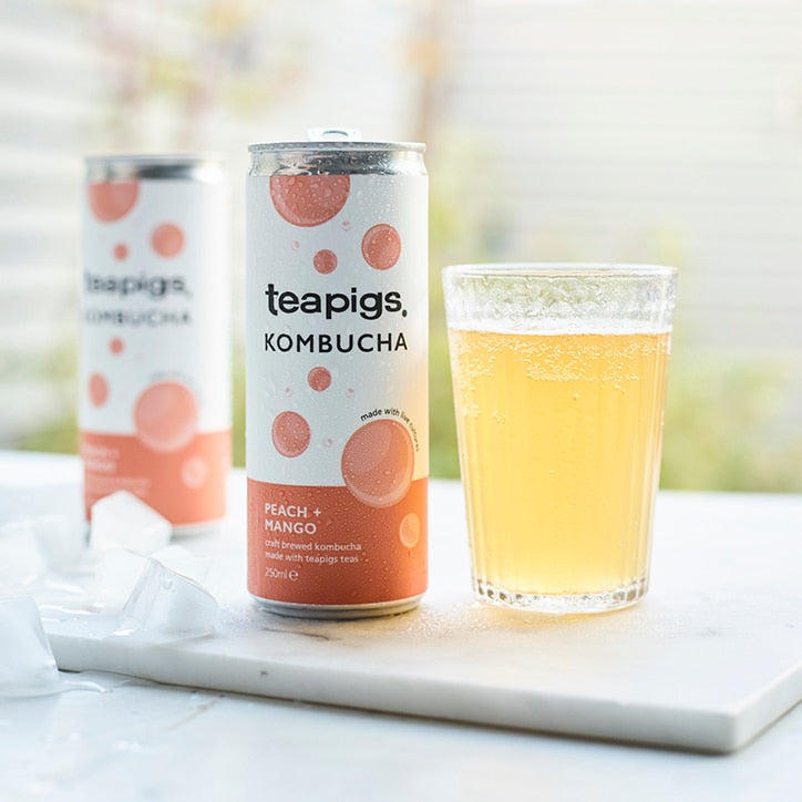 teapigs Peach & Mango Kombucha 250ml GOODS Holland&Barrett   