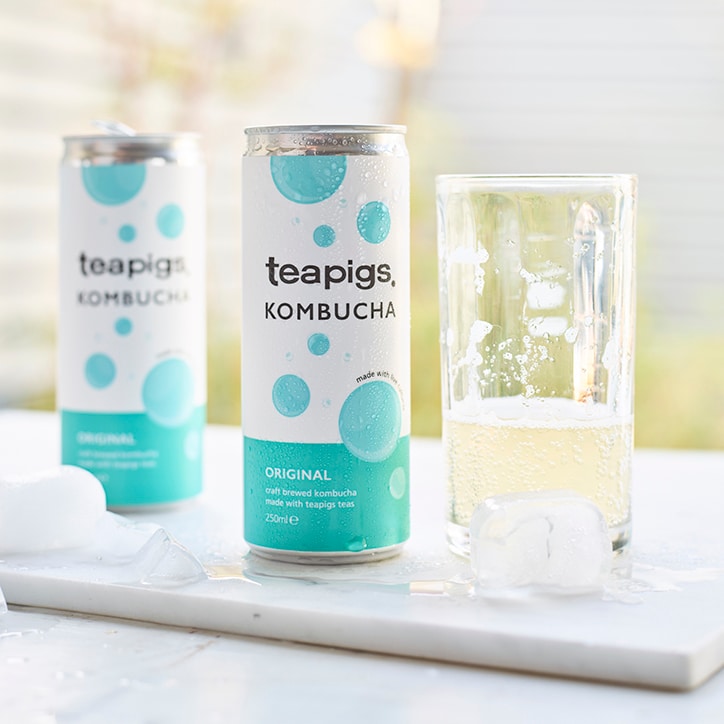 teapigs Original Kombucha 250ml