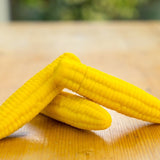 Vegan Toys Corn On The Cob Vibrator GOODS Holland&Barrett   