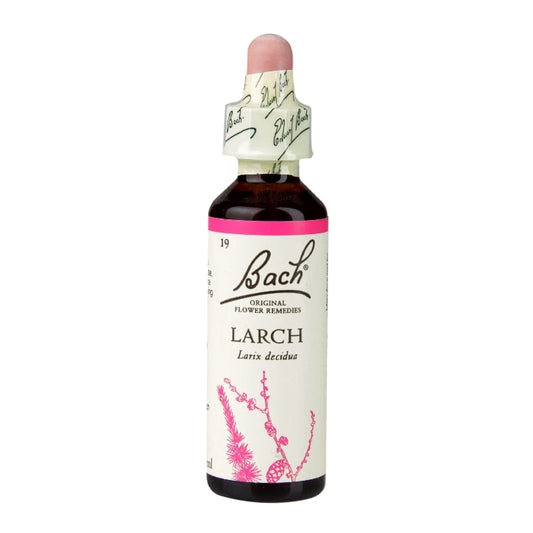 Bach Original Flower Remedies Larch 20ml Flower Remedies Holland&Barrett   