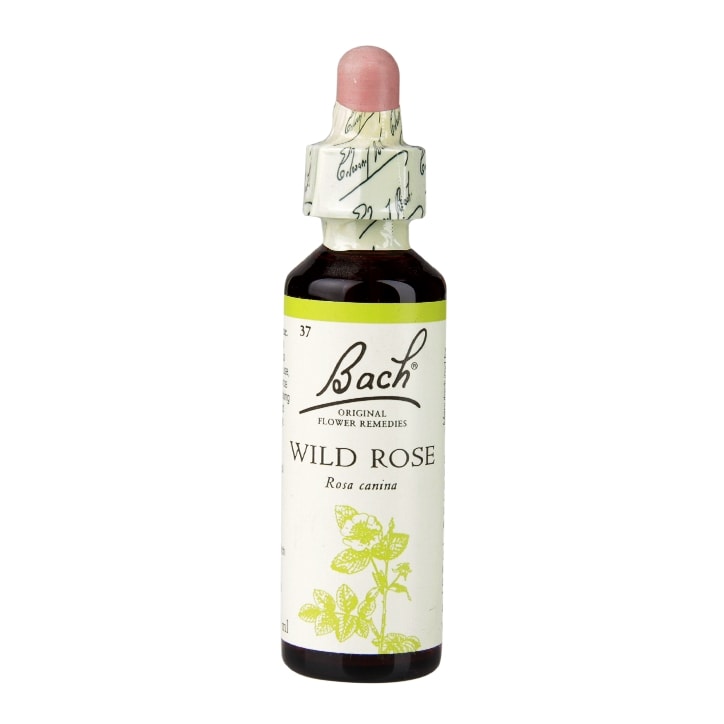 Bach Original Flower Remedies Wild Rose 20ml GOODS Holland&Barrett   