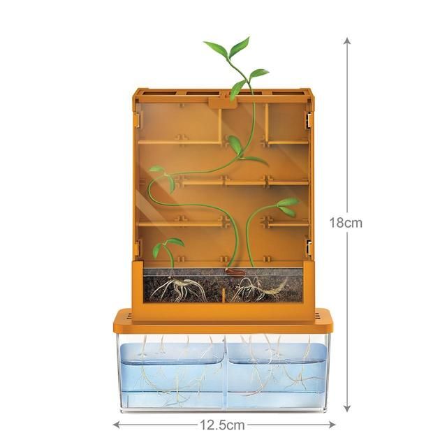 Grow a Maze, 8yrs+ Toys & Kid's Zone M&S   