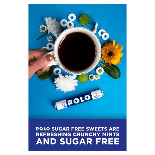 Polo Sugar Free Multipack