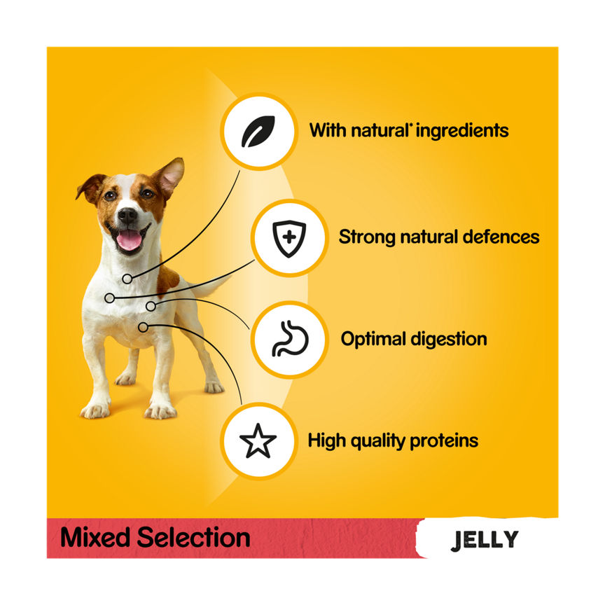 Pedigree Mixed Selection in Jelly Adult Dog Food Pouches