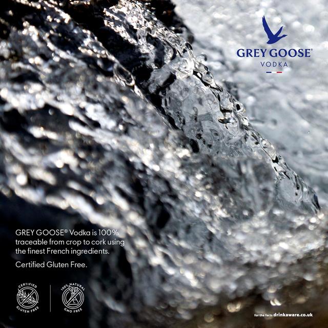 Grey Goose Vodka 70 CL 40% - Rasch Vin & Spiritus