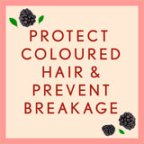 Aveeno Colour Protect+ Blackberry & Quinoa Blend Conditioner Haircare & Styling ASDA   