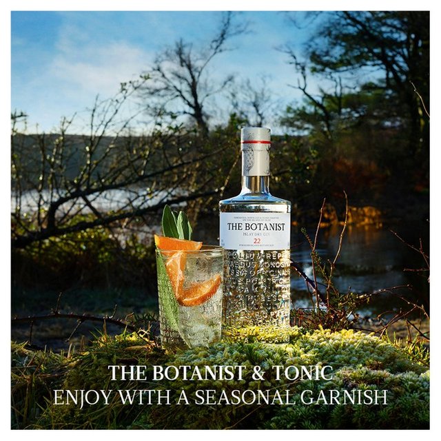 The Botanist Islay Dry Gin Liqueurs and Spirits M&S   