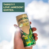 Jameson Irish Whiskey Ginger Ale & Lime Pre-Mixed Can GOODS M&S   