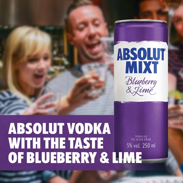 Absolut Mixt Blueberry & Lime Swedish Vodka Can Wine & Champagne M&S   