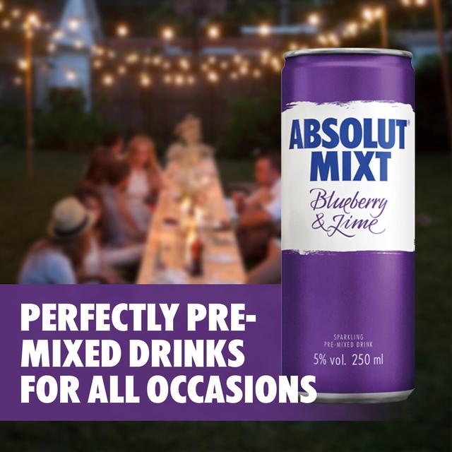 Absolut Mixt Blueberry & Lime Swedish Vodka Can Wine & Champagne M&S   