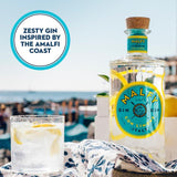 Malfy Con Limone Lemon Flavoured Gin GOODS M&S   