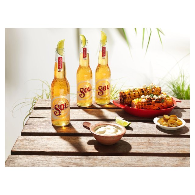 Sol Mexican Lager Chilled to Door Beer & Cider M&S   