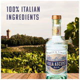 Villa Ascenti Gin BEER, WINE & SPIRITS M&S   