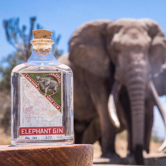 Elephant London Dry Gin Liqueurs and Spirits M&S   