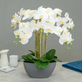 Artificial Large White Orchid in Trough Planter Faux Flowers costco.co.uk