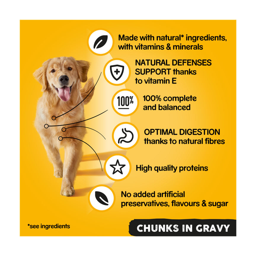 Pedigree Adult Wet Dog Food Tins Mixed in Gravy