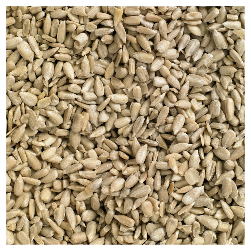 Wild Bird Big Pack Sunflower Seed Hearts Bird Food