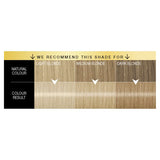 Schwarzkopf Oleo Intense 10-50 Light Ashy Blonde No Ammonia Permanent Hair Dye Hair Colourants & Dyes ASDA   