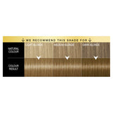 Schwarzkopf Oleo Intense 7-10 Natural Blonde No Ammonia Permanent Hair Dye Hair Colourants & Dyes ASDA   