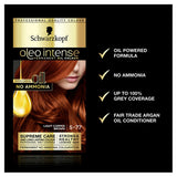 Schwarzkopf Oleo Intense 5-77 Light Copper Brown No Ammonia Permanent Hair Dye Hair Colourants & Dyes ASDA   