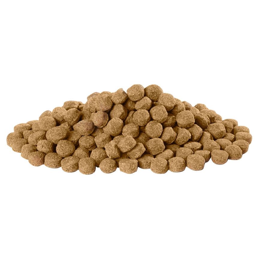 Harringtons Complete with Lamb & Rice Dry Adult Dog Food