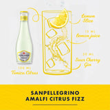 San Pellegrino Citrus Tonic Water Glass Adult Soft Drinks & Mixers M&S   