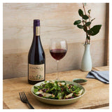 Cono Sur Organic Pinot Noir Wine & Champagne M&S   