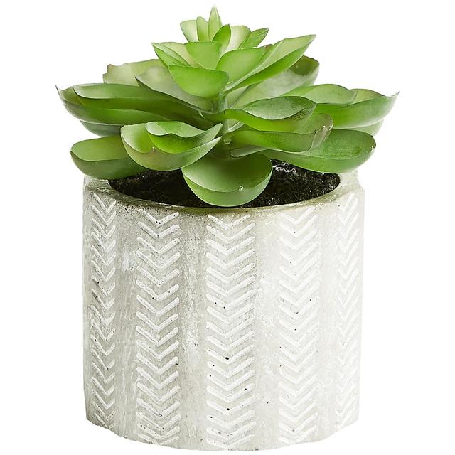 M&S Artificial Echeveria in Concrete Pot 11X9.2cm Perfumes, Aftershaves & Gift Sets M&S   