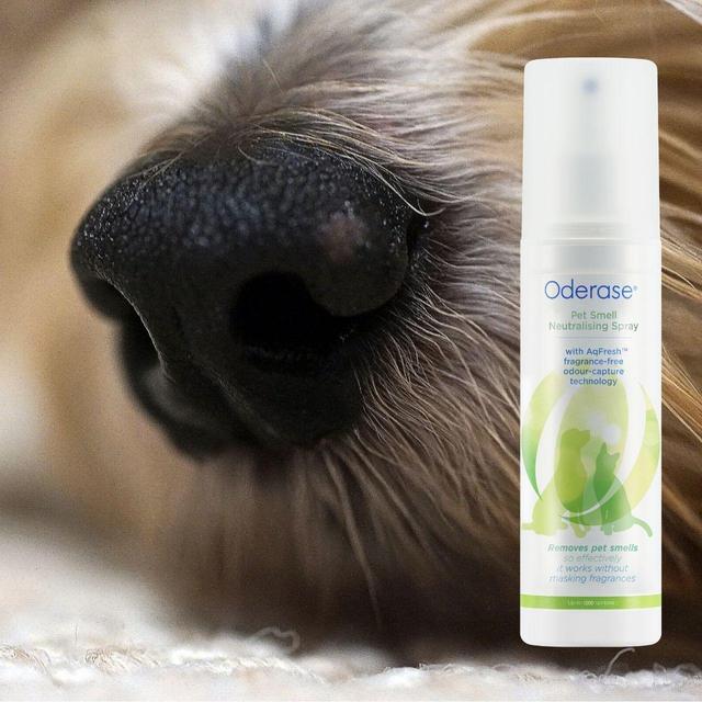 Oderase Pet Smell Neutralising Spray Miscellaneous M&S   