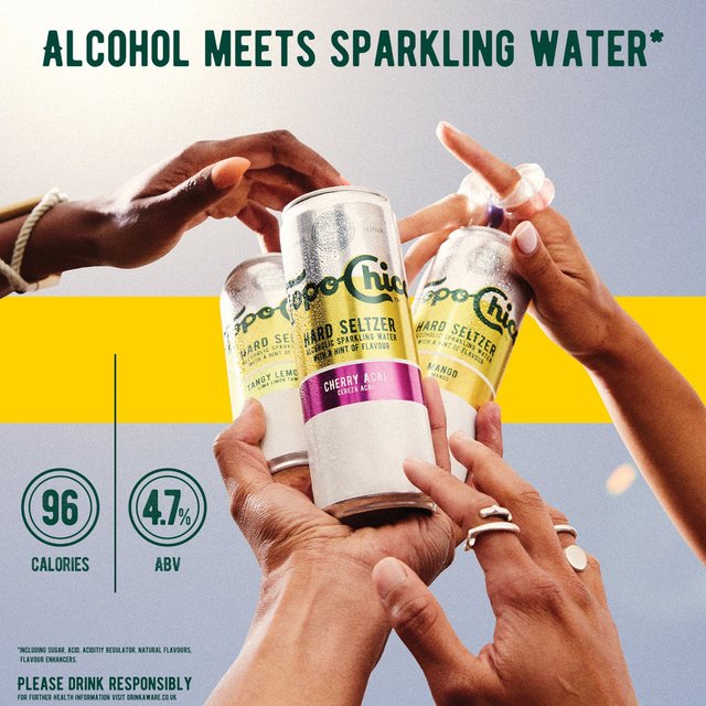 Topo Chico Hard Seltzer Mixed Pack