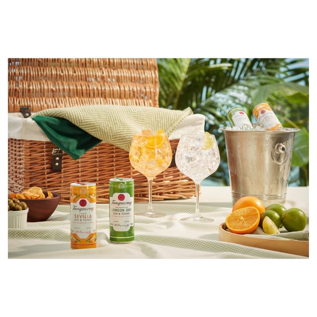 Tanqueray Flor De Sevilla Gin & Tonic Ready to Drink Can BEER, WINE & SPIRITS M&S   