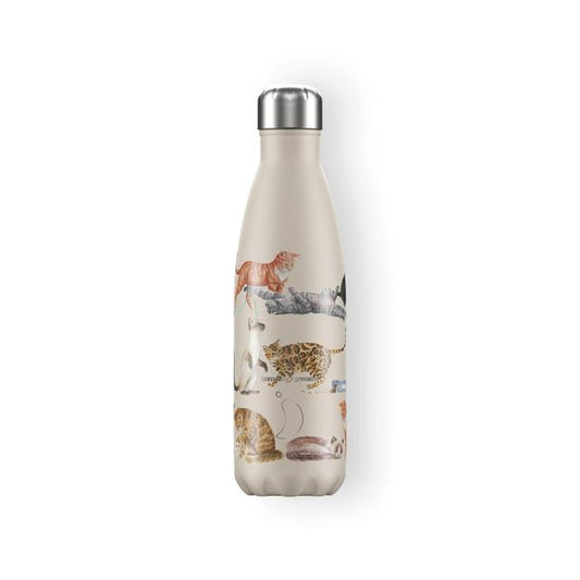 Chilly's Bottles 500ml Emma Bridgewater Cats GOODS M&S   