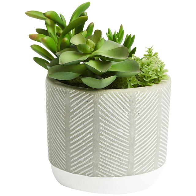 M&S Artificial Succulent Garden, Green