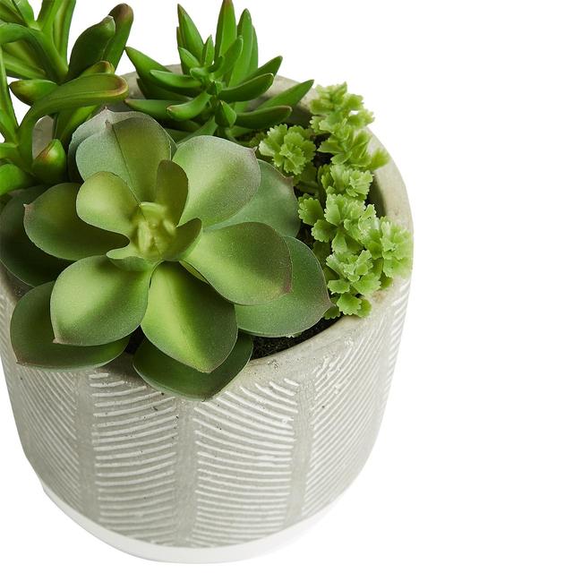 M&S Artificial Succulent Garden, Green