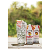 Malibu Watermelon Rum & Lemonade Pre-Mixed Can Wine & Champagne M&S   