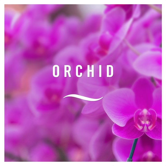 Febreze 3Volution Duftstecker Starterkit Zero% Orchidee