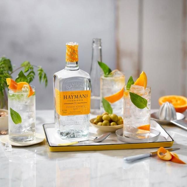 Haymans Exotic Citrus Gin