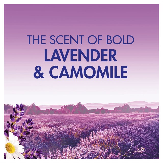 Bold 2in1 Washing Liquid Gel Lavender & Camomile 24 Washes Laundry M&S   