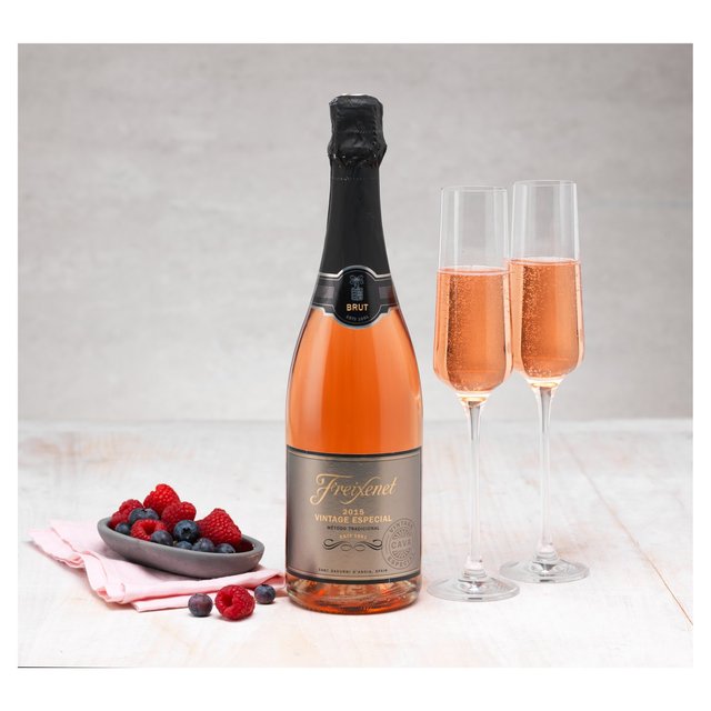 Freixenet Vintage Especial Rosado Brut Cava Wine & Champagne M&S   