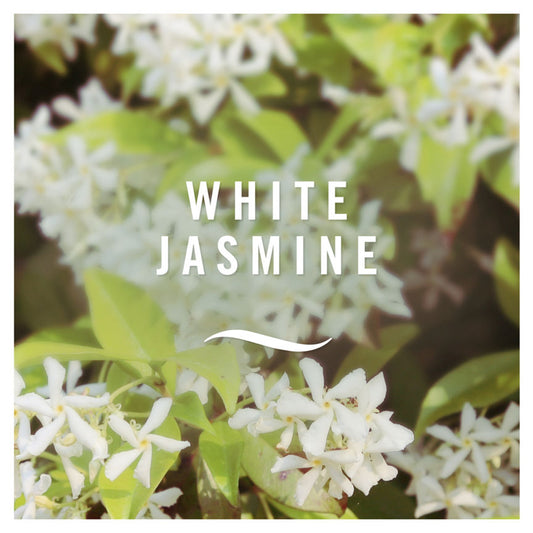 Febreze Air Freshener Car Starter Kit White Jasmine 2 Unit DIY ASDA   