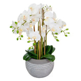 Artificial Large White Orchid in Ceramic Pot GOODS Costco UK   