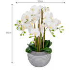 Artificial Large White Orchid in Ceramic Pot GOODS Costco UK   