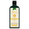 A'kin Daily Shine Rosemary Shampoo 225ml Natural beauty Sainsburys   