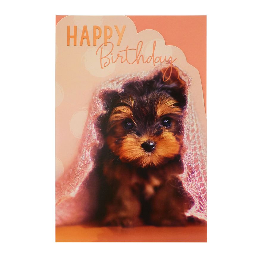 George Home Cute Puppy Birthday Card General Household ASDA   