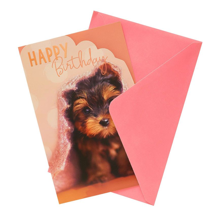 George Home Cute Puppy Birthday Card General Household ASDA   